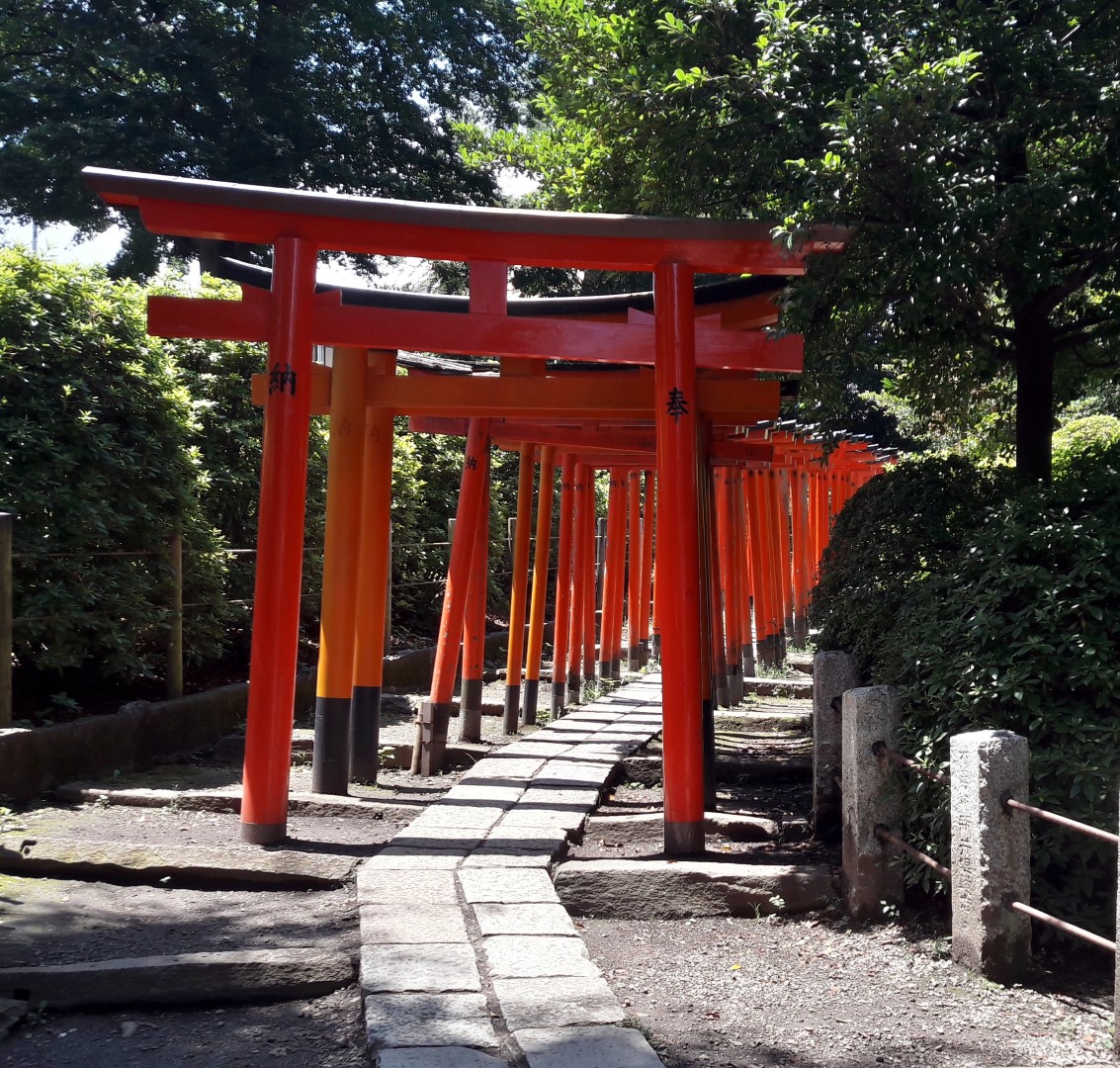 torii tunnel nezu shrine yanesen