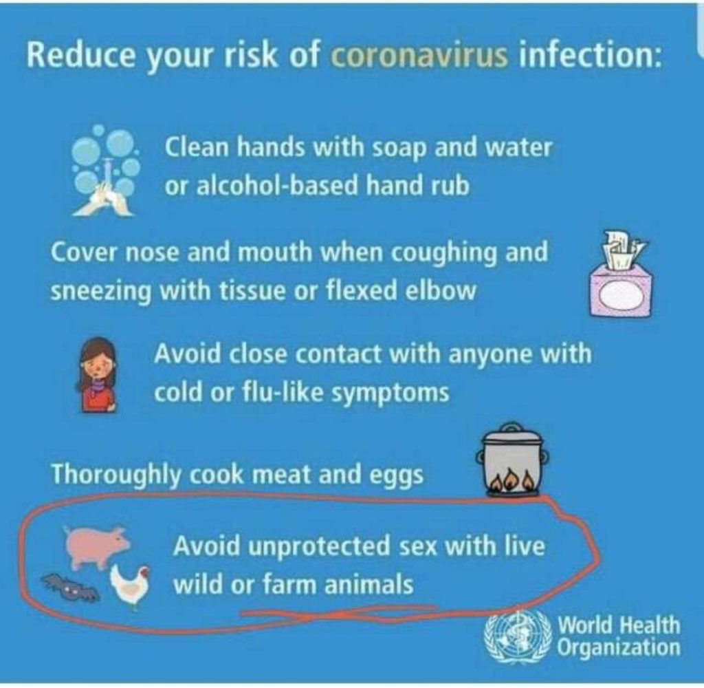 coronavirus thailanda